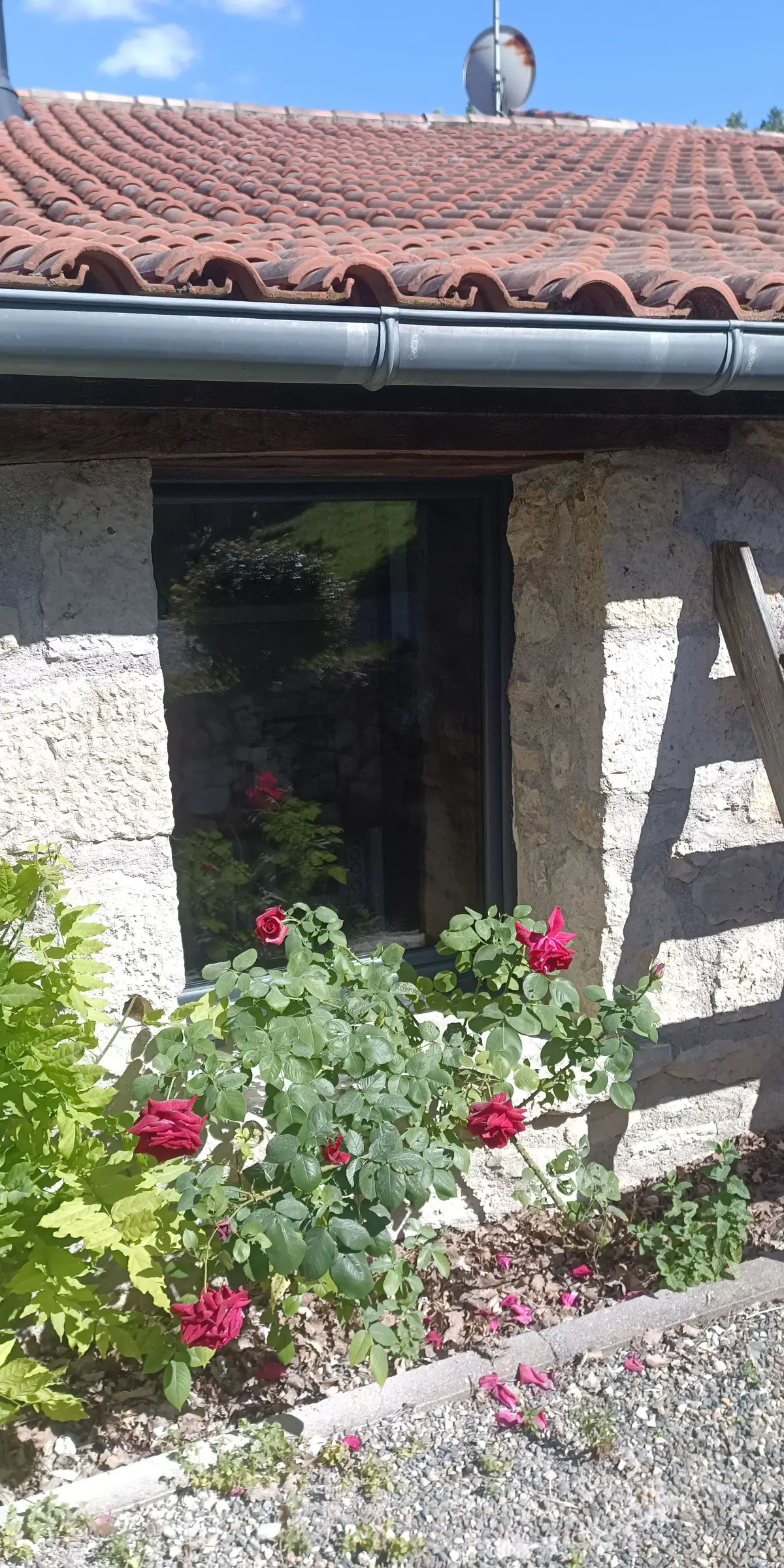 Réalisation