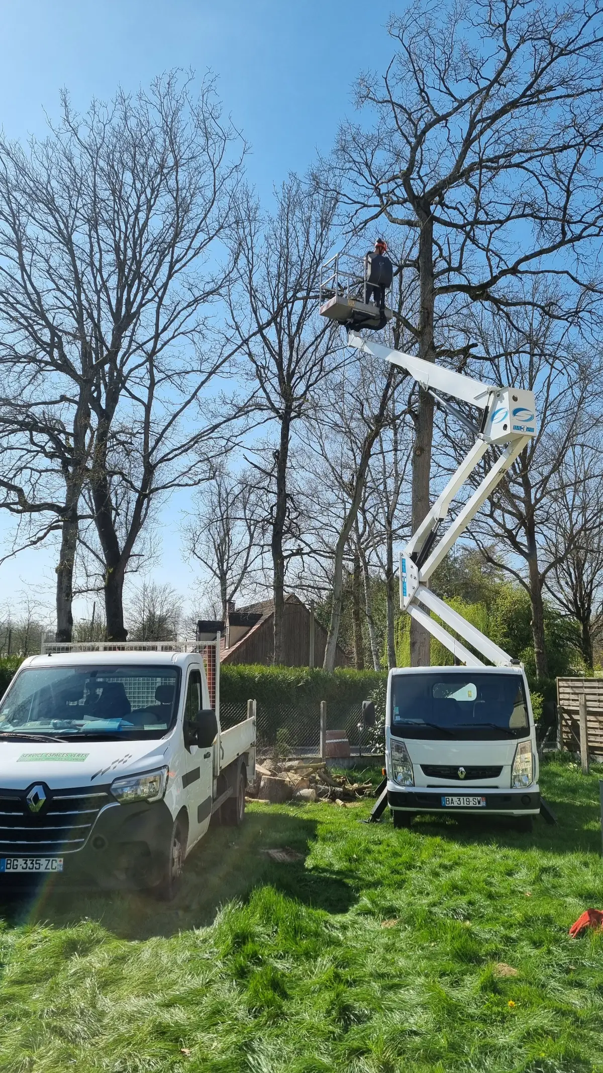 Réalisation de Gousandier élagage