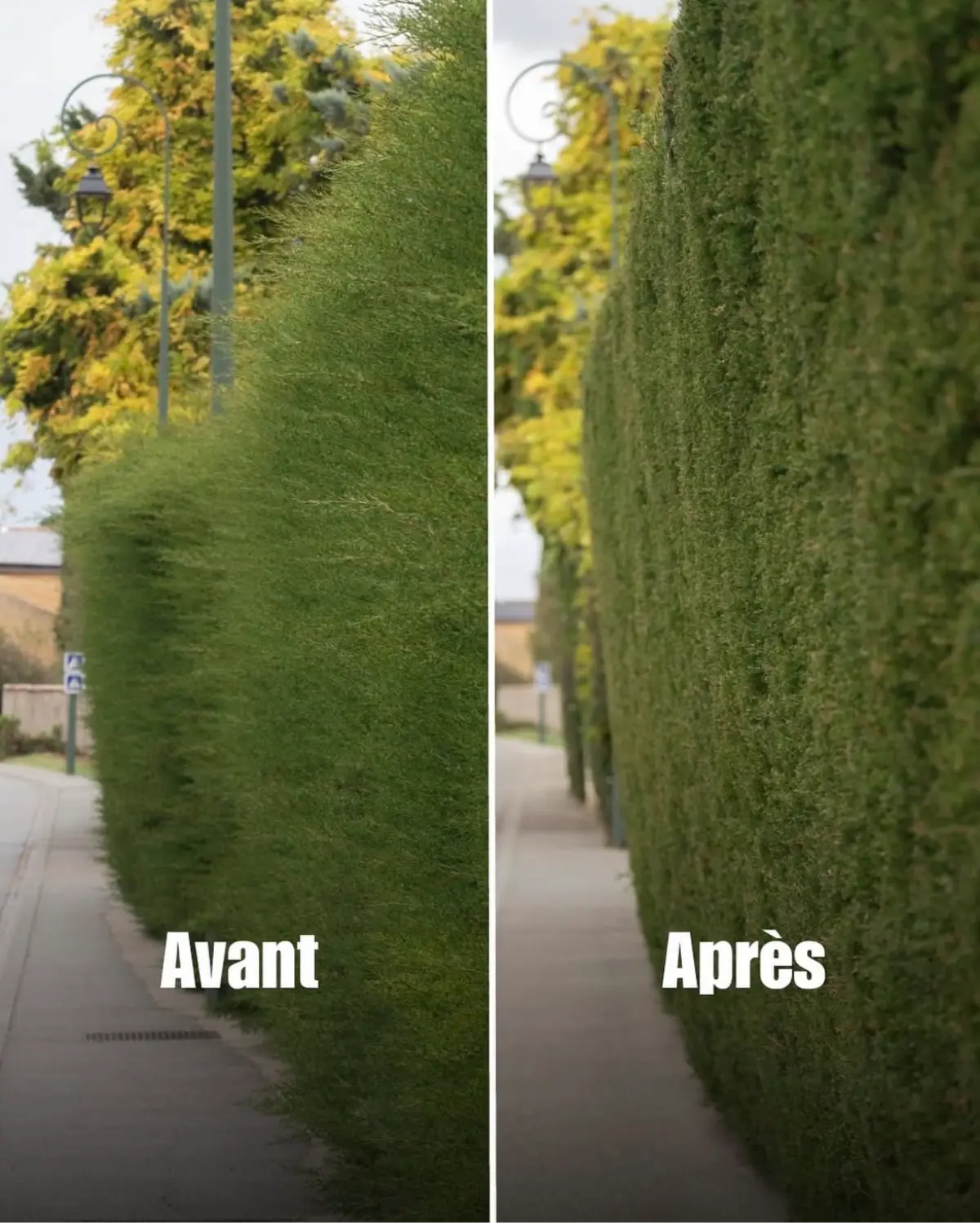 Réalisation